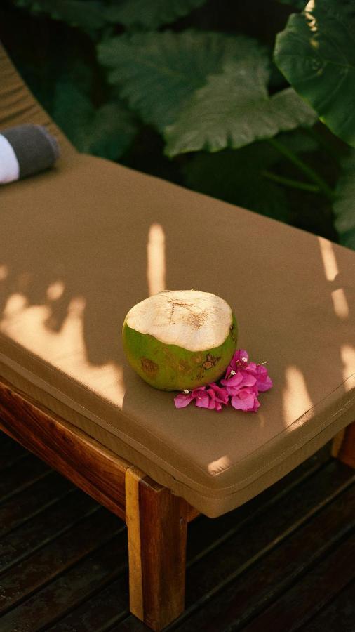 Aldea Paraiso - Adults Only - Boutique Hotel 埃斯孔迪多港 外观 照片